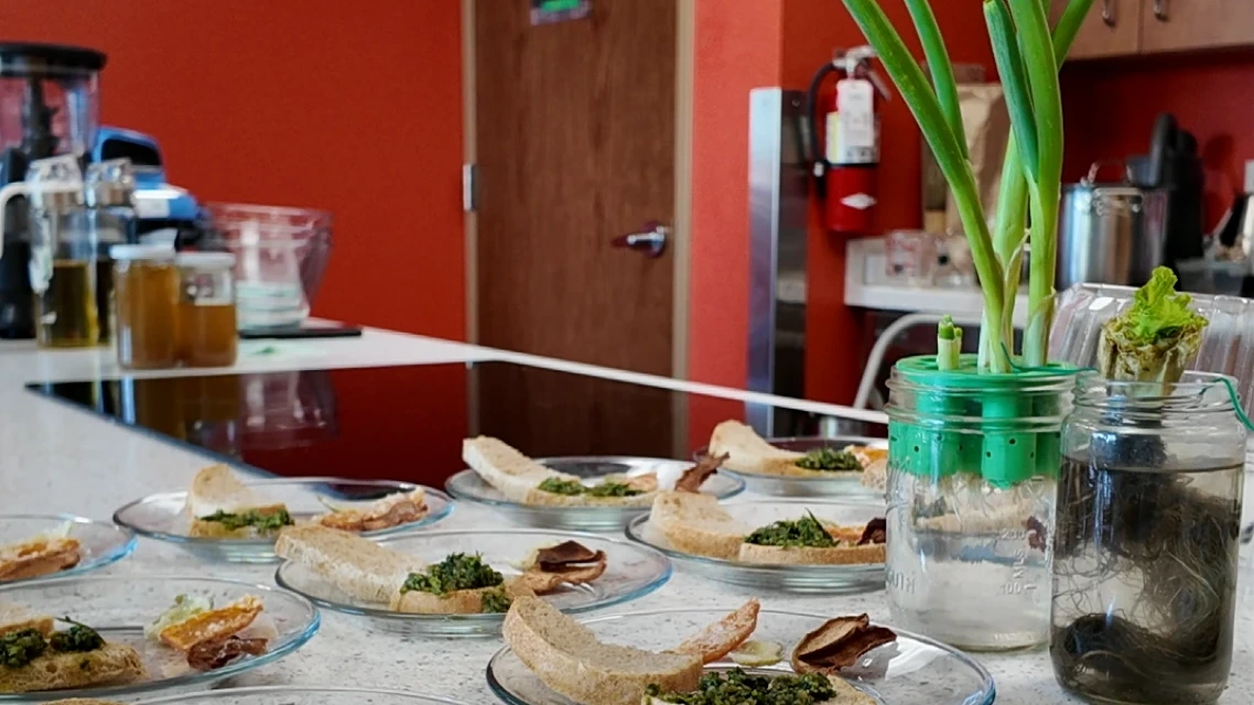 A table with samples laid out. A green onion is being grown hydroponically.